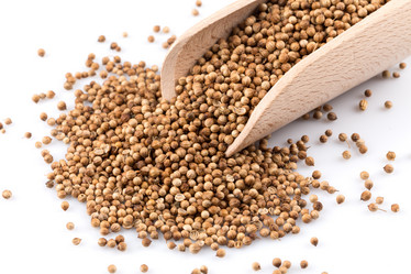 Similar image 12251034