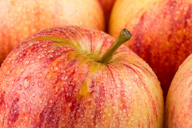 Similar image 12251036