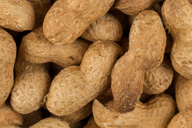 Similar image 12251055