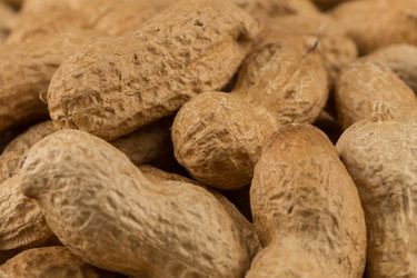 Similar image 12250909