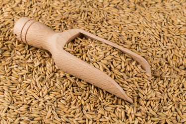 Similar image 12227155