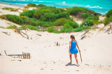 Similar image 12251419