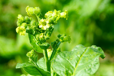 Similar image 12346966