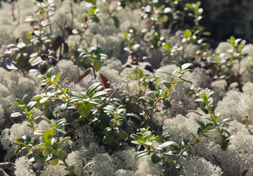 Similar image 12350651