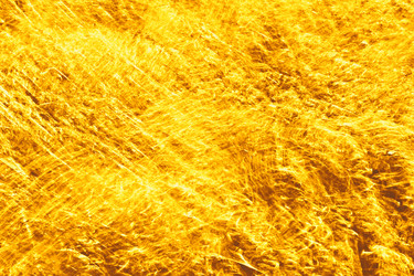 Similar image 12350653