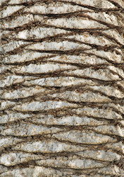 Similar image 12250618