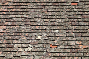 Similar image 12350256