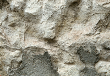 Similar image 12350658