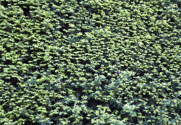 Similar image 12350663