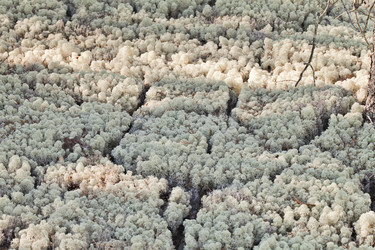 Similar image 12343303