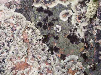 Similar image 12343336