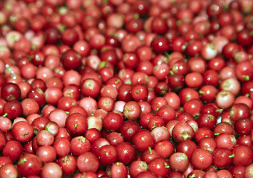 Similar image 12347594