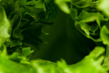 Similar image 12227250