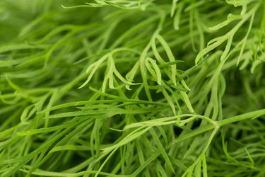 Similar image 12227268