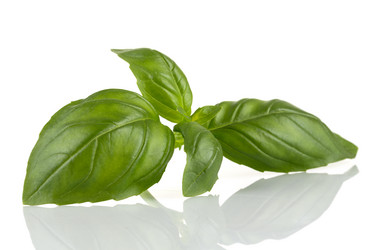 Similar image 12227326