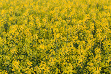 Similar image 12227430