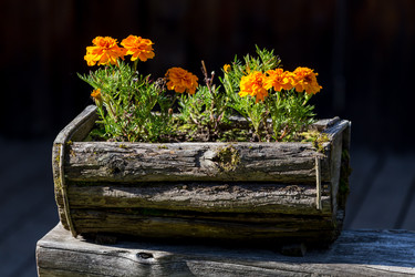 Similar image 12227434