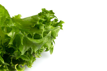 Similar image 12251042