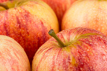 Similar image 12250914