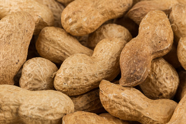 Similar image 12250929