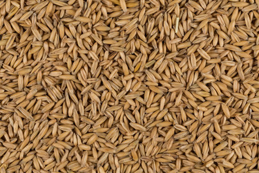 Similar image 12250965