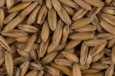 Similar image 12250967