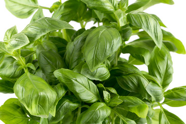 Similar image 12250984