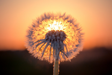 Similar image 12227232