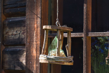 Similar image 12227270