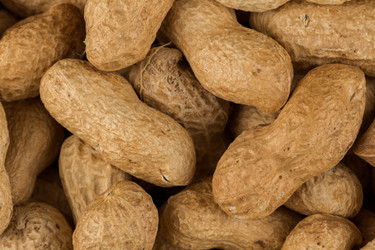 Similar image 12227219