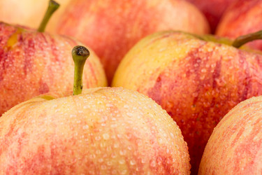 Similar image 12227235