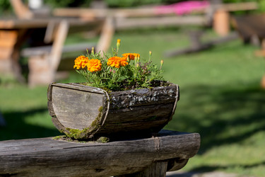 Similar image 12227419