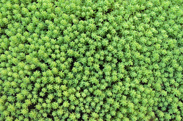 Similar image 12250343