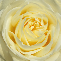 Similar image 12250344