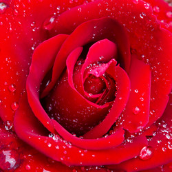 Similar image 12250346