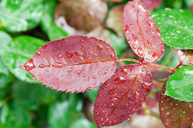 Similar image 12250348