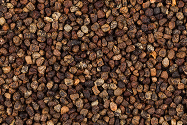 Similar image 12251061