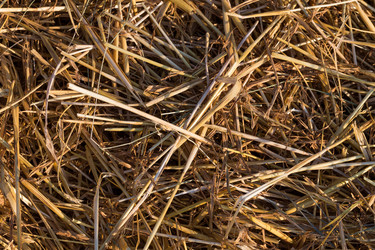 Similar image 12250919