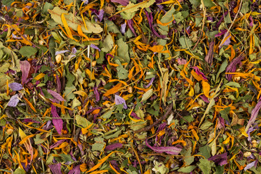 Similar image 12250950