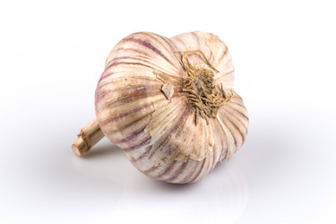 Similar image 12250953