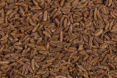 Similar image 12250971