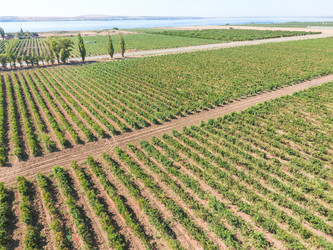 Similar image 12251299