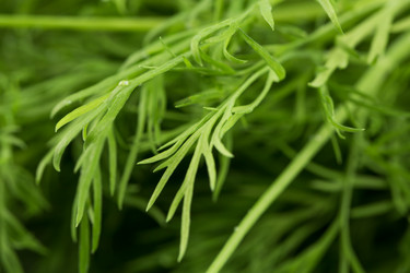 Similar image 12227165