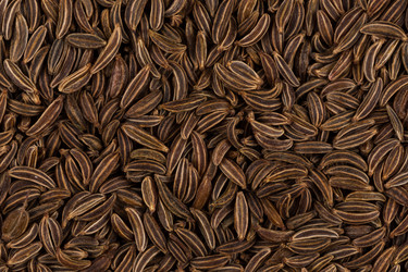 Similar image 12227205