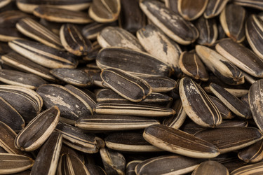 Similar image 12250806