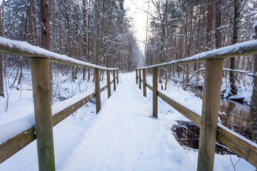 Similar image 12250808