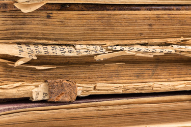 Similar image 12251045