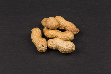 Similar image 12251048