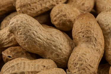 Similar image 12250941