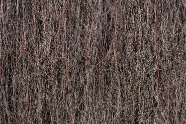 Similar image 12250942